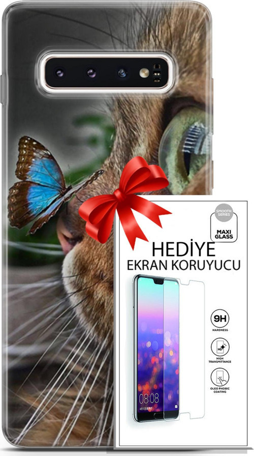 Samsung Galaxy S10 Kılıf Orijinal Seri Scotish-British 12 Munchkin Kelebek Tasarım Kılıf + Ekran Koruyucu
