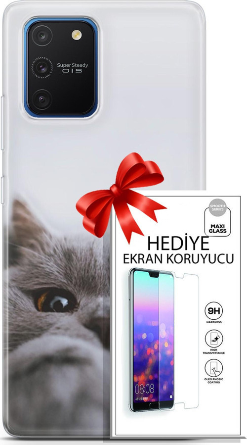 Samsung Galaxy S10 Lite Kılıf Orijinal Seri Scotish-British 08 Sevimli Kedi Baskılı Kılıf + Ekran Koruyucu