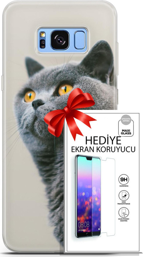 Samsung Galaxy S8 Plus Kılıf Orijinal Seri Scotish-British 05 Gri Scottish Koruma Kılıfı + Ekran Koruyucu