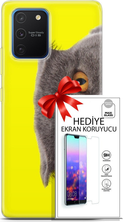 Samsung Galaxy S10 Lite Kılıf Orijinal Seri Scotish-British 01 Scottish Fold Telefon Kılıfı + Ekran Koruyucu