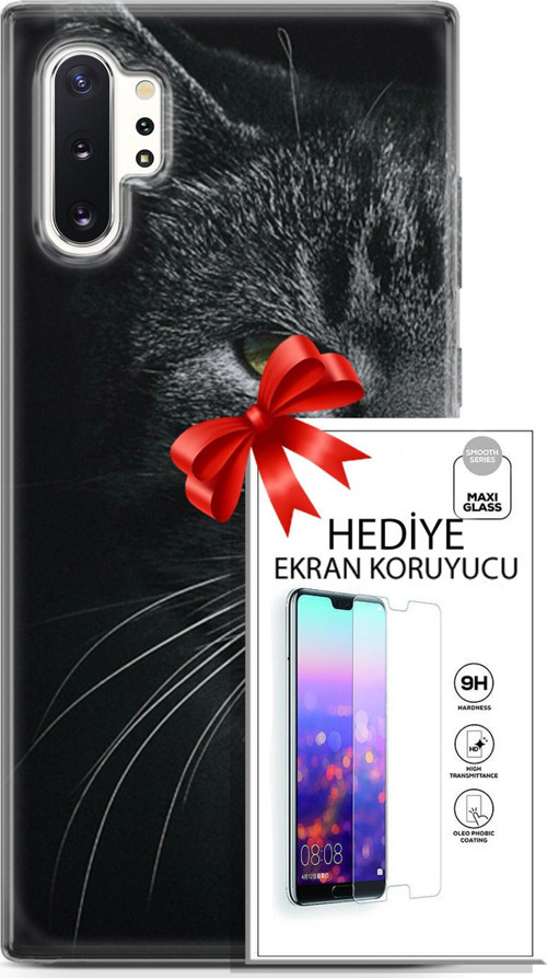 Samsung Galaxy Note 10 Plus Kılıf Orijinal Seri Scotish-British 24 Asi Kedi Darbe Emici Kılıf + Ekran Koruyucu