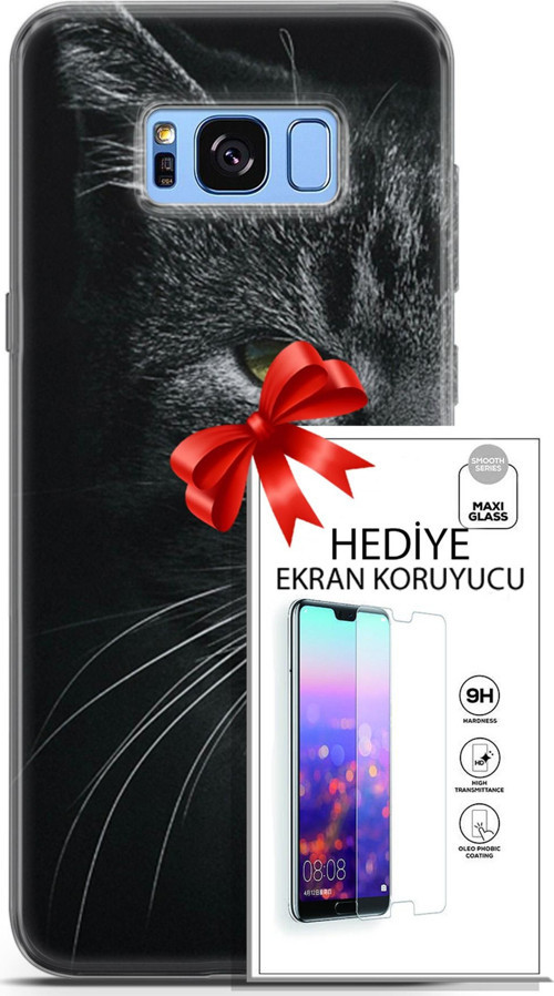 Samsung Galaxy S8 Plus Kılıf Orijinal Seri Scotish-British 24 Asi Kedi Darbe Emici Kılıf + Ekran Koruyucu