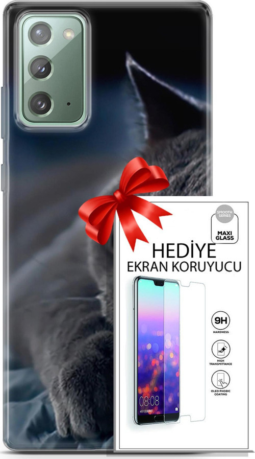 Samsung Galaxy Note 20 Kılıf Orijinal Seri Scotish-British 20 Yatan Kedi Renkli Kılıf Ekran Koruyucu