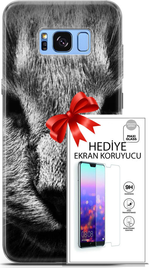 Samsung Galaxy S8 Plus Kılıf Orijinal Seri Scotish-British 23 Gri Detay Kedi Telefon Kabı Ve Ekran Koruyucu