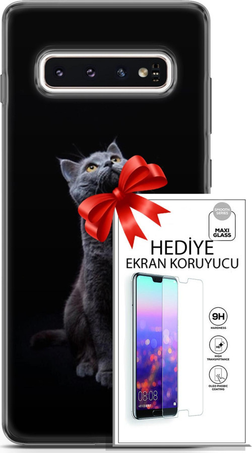 Samsung Galaxy S10 Kılıf Orijinal Seri Scotish-British 21 British Shorthair Portre Darbe Önleyici Kapak