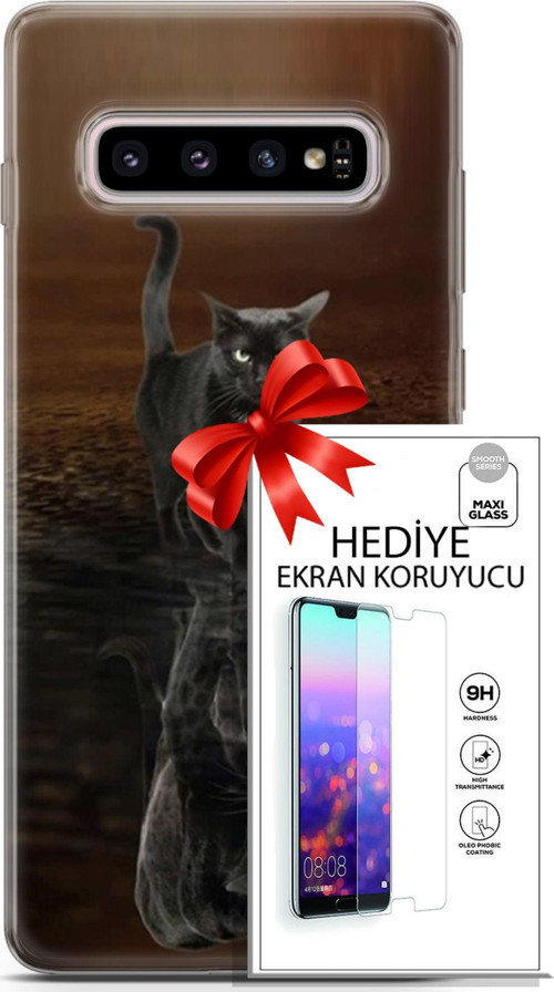 Samsung Galaxy S10 Plus Kılıf Orijinal Seri Scotish-British 16 Siyah Rus Kedisi Hediyelik Kılıf Ve Ekran Koruyucu