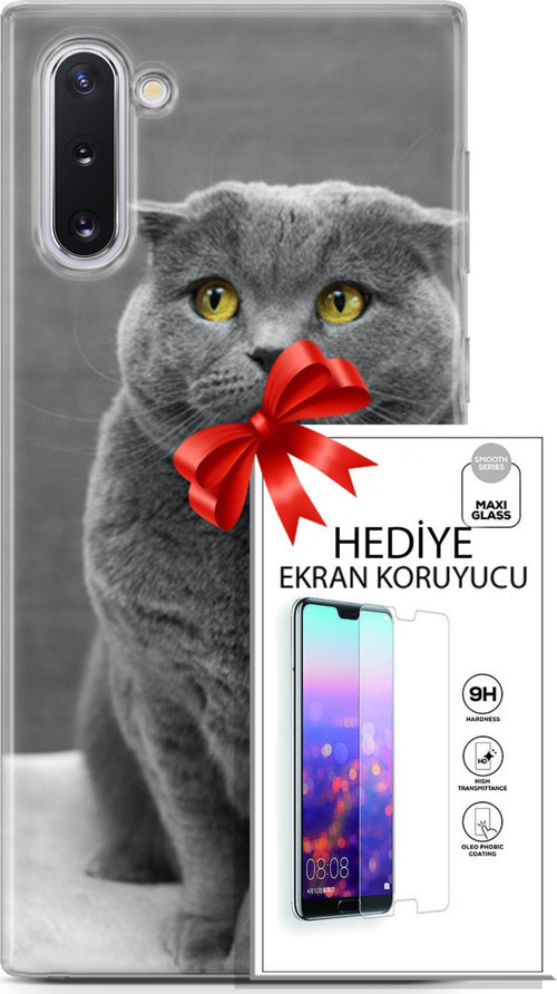 Samsung Galaxy Note 10 Kılıf Orijinal Seri Scotish-British 17 Scottish Duman Gri Yumuşak Kılıf + Ekran Koruyucu