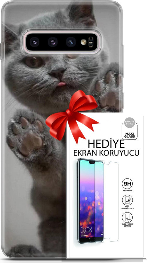 Samsung Galaxy S10 Plus Kılıf Orijinal Seri Scotish-British 10 Yavru Scottish Full Hd Kılıf + Ekran Koruyucu