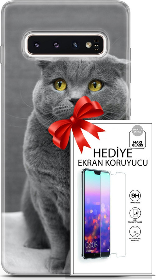 Samsung Galaxy S10 Kılıf Orijinal Seri Scotish-British 17 Scottish Duman Gri Yumuşak Kılıf + Ekran Koruyucu