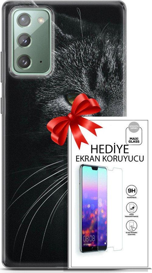 Samsung Galaxy Note 20 Kılıf Orijinal Seri Scotish-British 24 Asi Kedi Darbe Emici Kılıf + Ekran Koruyucu