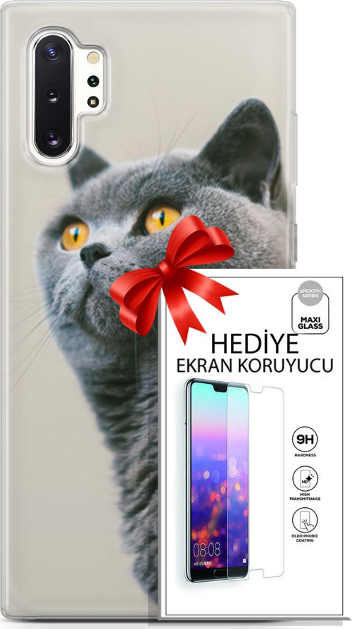 Samsung Galaxy Note 10 Plus Kılıf Orijinal Seri Scotish-British 05 Gri Scottish Koruma Kılıfı + Ekran Koruyucu