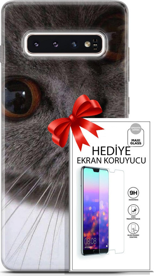 Samsung Galaxy S10 Kılıf Orijinal Seri Scotish-British 11 Pov British 4K Baskılı Kılıf + Ekran Koruyucu