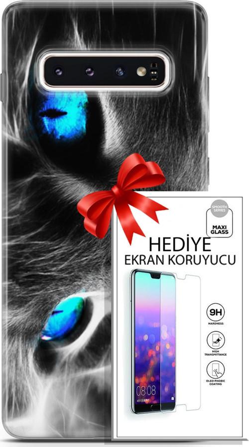 Samsung Galaxy S10 Kılıf Orijinal Seri Scotish-British 26 Amerikan Kedisi Soft Kapak + Ekran Koruyucu