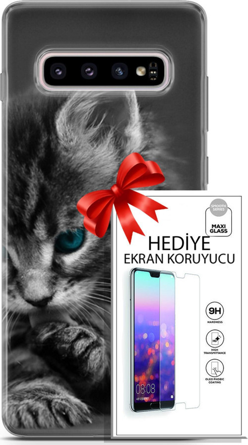 Samsung Galaxy S10 Plus Kılıf Orjinal Seri Scotish-British 19 Mavi Gözlü Ragdoll Tam Koruma Kılıf +Ekran Koruyucu