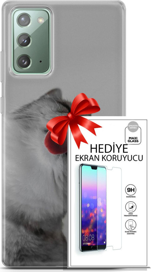 Samsung Galaxy Note 20 Kılıf Orijinal Seri Scotish-British 07 British Shorthair Desenli Kılıf + Ön Ekran Koruyucu