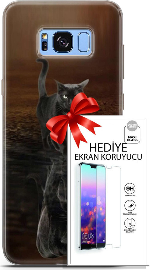 Samsung Galaxy S8 Plus Kılıf Orijinal Seri Scotish-British 16 Siyah Rus Kedisi Hediyelik Kılıf Ve Ekran Koruyucuk