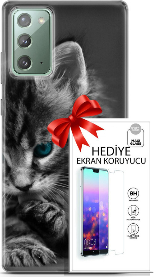 Samsung Galaxy Note 20 Kılıf Orijinal Seri Scotish-British 19 Mavi Gözlü Ragdoll Tam Koruma Kılıf +Ekran Koruyucu