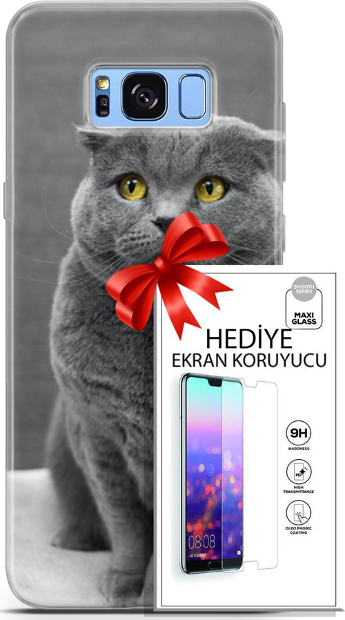 Samsung Galaxy S8 Plus Kılıf Orijinal Seri Scotish-British 17 Scottish Duman Gri Yumuşak Kılıf + Ekran Koruyucu
