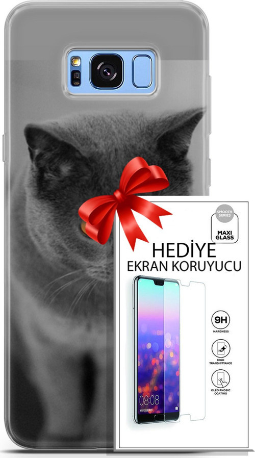 Samsung Galaxy S8 Plus Kılıf Orijinal Seri Scotish-British 04 Turuncu Göz Silikon Kılıf + Ekran Koruyucu