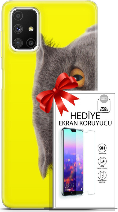Samsung Galaxy M51 Kılıf Orijinal Seri Scotish-British 01 Scottish Fold Telefon Kılıfı + Ekran Koruyucu