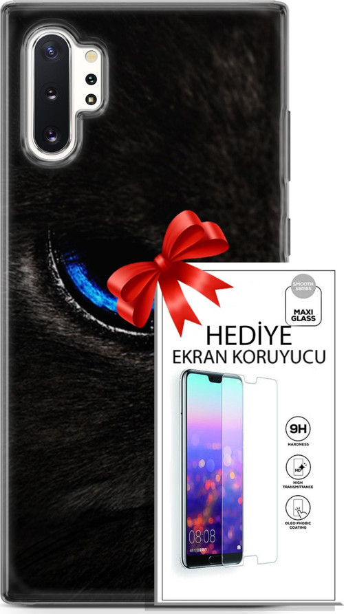 Samsung Galaxy Note 10 Plus Kılıf Orijinal Seri Scotish-British 25 Maine Coon Soyulmayan Kılıf + Ekran Koruyucu