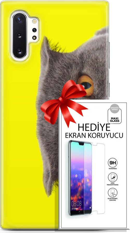Samsung Galaxy Note 10 Plus Kılıf Orijinal Seri Scotish-British 01 Scottish Fold Telefon Kılıfı + Ekran Koruyucu