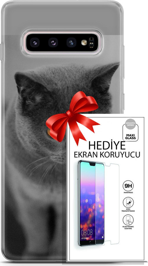 Samsung Galaxy S10 Plus Kılıf Orijinal Seri Scotish-British 04 Turuncu Göz Silikon Kılıf + Ekran Koruyucu