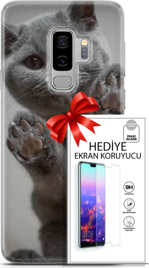 Samsung Galaxy S9 Plus Kılıf Orijinal Seri Scotish-British 10 Yavru Scottish Full Hd Kılıf + Ekran Koruyucu