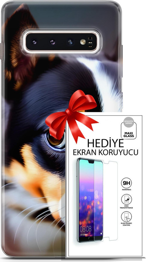 Samsung Galaxy S10 Kılıf Orijinal Seri Dogs 11 İsviçre Bernese 4K Baskılı Kılıf + Ekran Koruyucu Ful