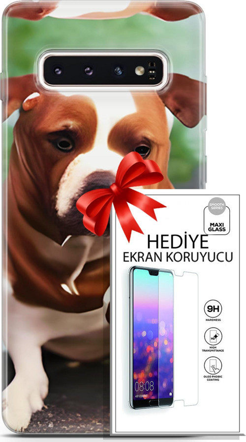 Samsung Galaxy S10 Kılıf Orijinal Seri Dogs 29 American Staffordshire Leke Tutmaz Kapak + Ekran Koruyucu