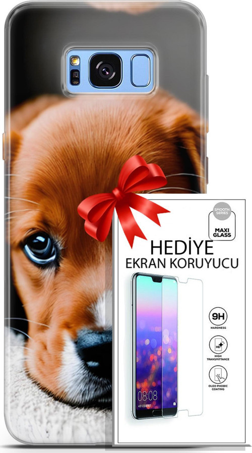 Samsung Galaxy S8 Plus Kılıf Orijinal Seri Dogs 09 Beagle Uv Kılıf Ve Ekran Koruyucu