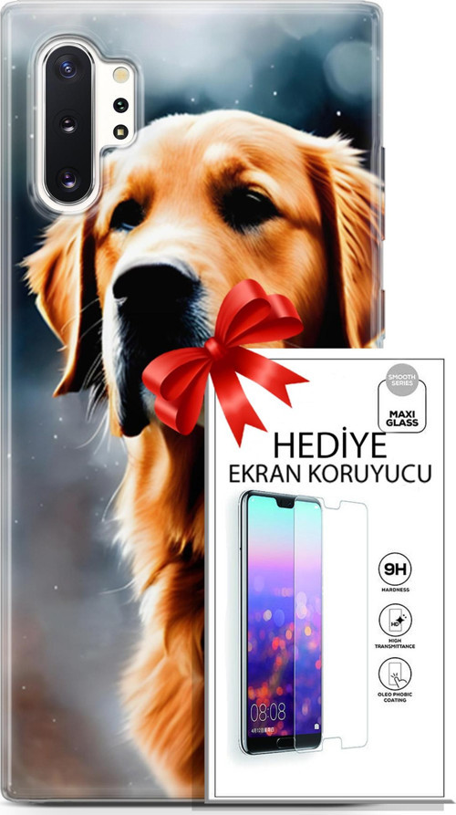 Samsung Galaxy Note 10 Plus Kılıf Orijinal Seri Dogs 16 Golden Retriever Hediyelik Kılıf Ve Ekran Koruyucu