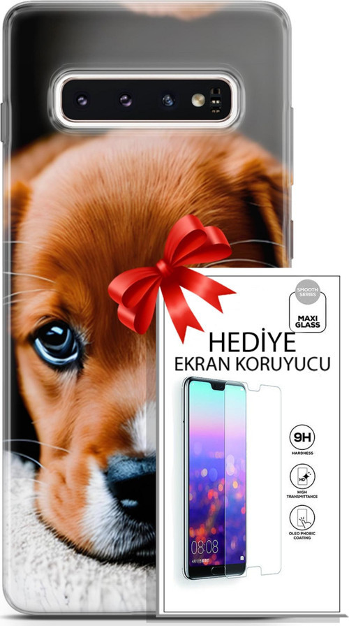 Samsung Galaxy S10 Kılıf Orijinal Seri Dogs 09 Beagle Uv Kılıf Ve Ekran Koruyucu