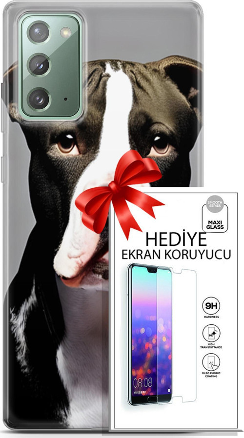 Samsung Galaxy Note 20 Kılıf Orijinal Seri Dogs 24 American Pitbull Darbe Emici Kılıf + Ekran Koruyucu