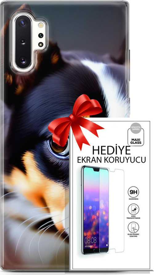 Samsung Galaxy Note 10 Plus Kılıf Orijinal Seri Dogs 11 İsviçre Bernese 4K Baskılı Kılıf + Ekran Koruyucu