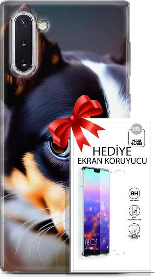 Samsung Galaxy Note 10 Kılıf Orijinal Seri Dogs 11 İsviçre Bernese 4K Baskılı Kılıf + Ekran Koruyucu