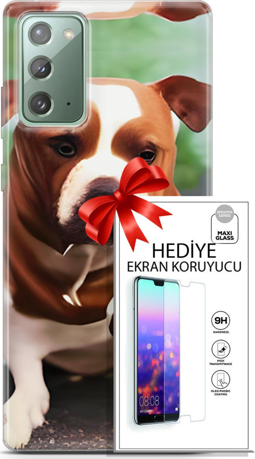Samsung Galaxy Note 20 Kılıf Orijinal Seri Dogs 29 American Staffordshire Leke Tutmaz Kapak + Ekran Koruyucu