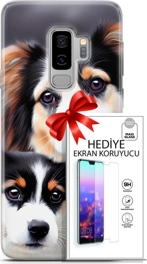 Samsung Galaxy S9 Plus Kılıf Orijinal Seri Dogs 22 Bernese Dağ Köpeği Kap + Ekran Koruyucu