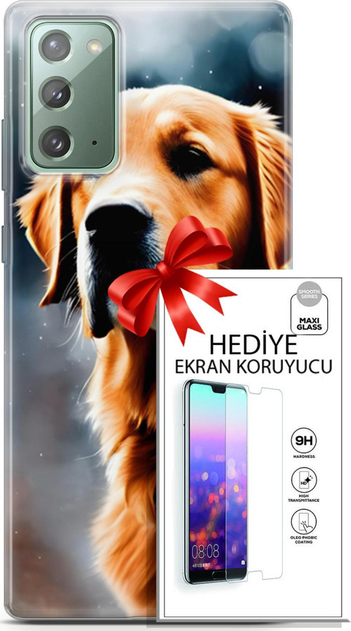 Samsung Galaxy Note 20 Kılıf Orijinal Seri Dogs 16 Golden Retriever Hediyelik Kılıf Ve Ekran Koruyucu