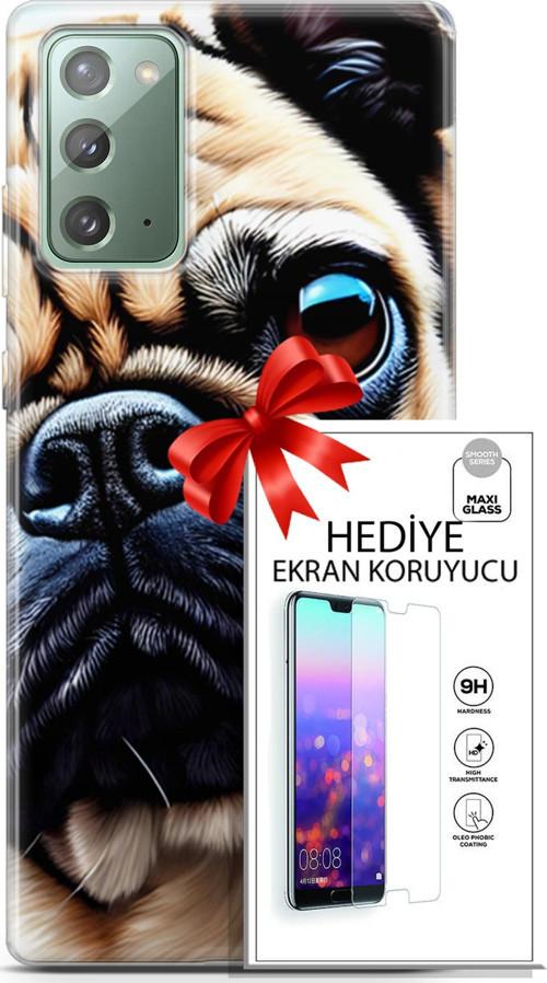 Samsung Galaxy Note 20 Kılıf Orijinal Seri Dogs 08 Pug Baskılı Kılıf + Ekran Koruyucu