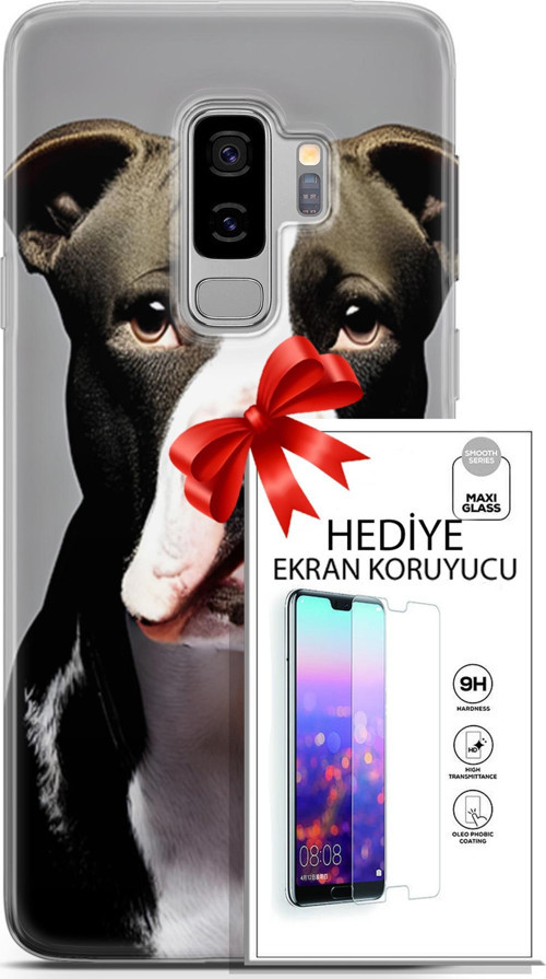 Samsung Galaxy S9 Plus Kılıf Orijinal Seri Dogs 24 American Pitbull Darbe Emici Kılıf + Ekran Koruyucu