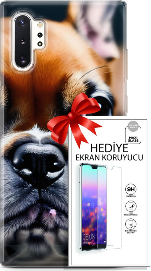 Samsung Galaxy Note 10 Plus Kılıf Orijinal Seri Dogs 10 İngiliz Mastiff Full Hd Kılıf + Ekran Koruyucu