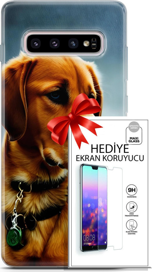 Samsung Galaxy S10 Plus Kılıf Orijinal Seri Dogs 04 Labrador Silikon Kılıf + Ekran Koruyucu Full Koruma