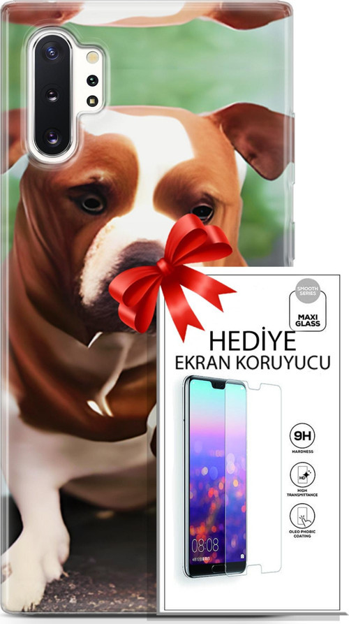 Samsung Galaxy Note 10 Plus Kılıf Orijinal Seri Dogs 29 American Staffordshire Leke Tutmaz Kapak + Ekran Koruyucu