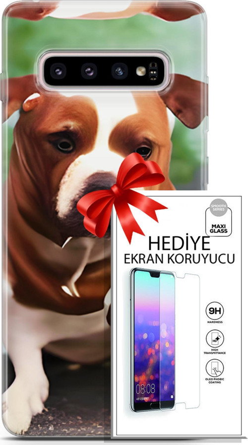 Samsung Galaxy S10 Plus Kılıf Orijinal Seri Dogs 29 American Staffordshire Leke Tutmaz Kapak + Ekran Koruyucu