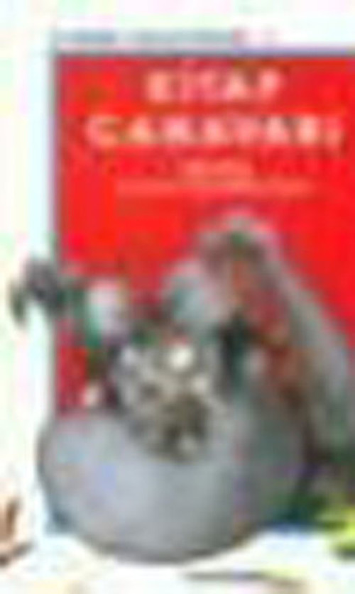 Uçanbalık Yayıncılık Kitap Canavarı