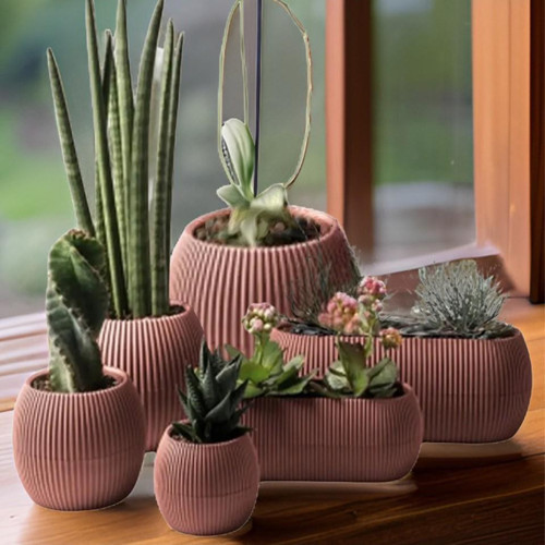 Mercan Dekoratif Sukulent Kaktüs Plastik Saksı Takımı 6'lı Set Pembe
