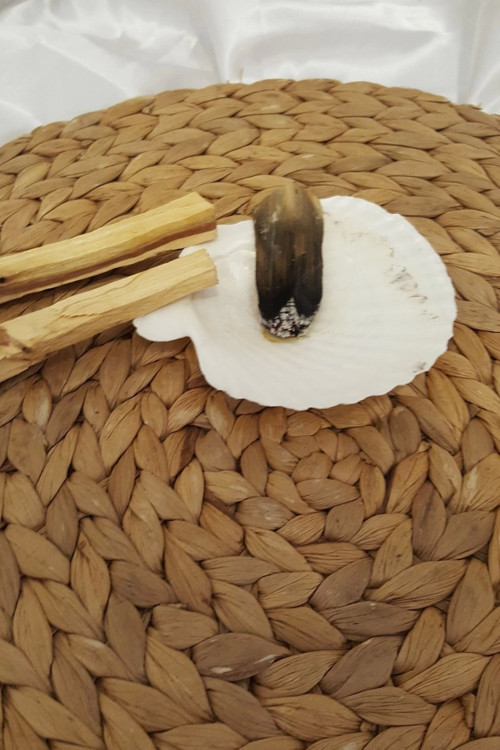 Palo Santo Nazar a Doğal Tütsü Pala Santo 2 Adet İstiridye Palosanto luk ile Beraber Yoga PalaSanto