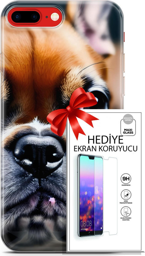 Apple İphone 7 Plus - 8 Plus Kılıf Orijinal Seri Dogs 10 İngiliz Mastiff Full Hd Kılıf + Ekran Koruyucu