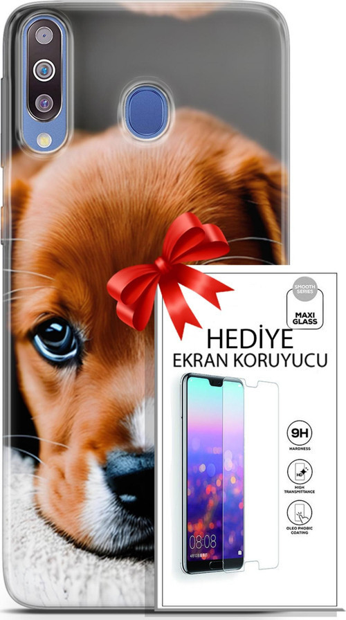 Samsung Galaxy M30 Kılıf Orijinal Seri Dogs 09 Beagle Uv Kılıf Ve Ekran Koruyucu